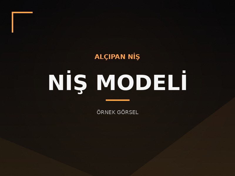 Niş Modelleri